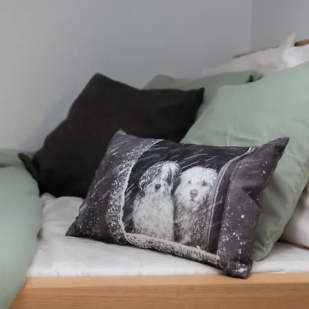 Appartement Vinzenz, Bildstein- Mit Privatem Ski- Und Fahrradraum *