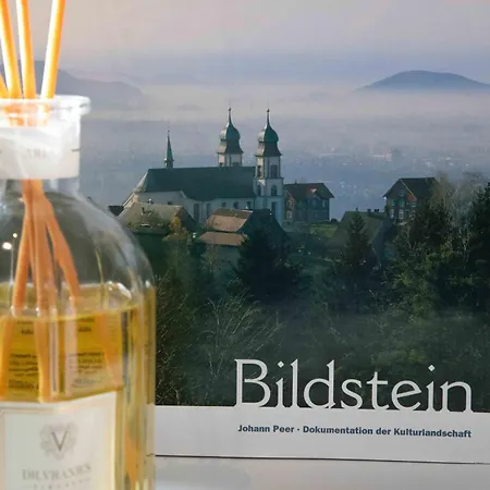 Lejlighed Vinzenz, Bildstein- Mit Privatem Ski- Und Fahrradraum *