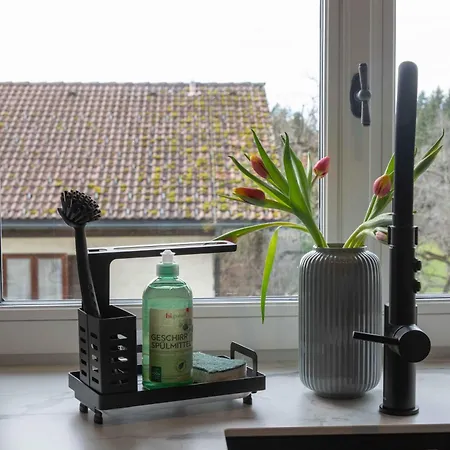 Vinzenz, Bildstein- Mit Privatem Ski- Und Fahrradraum Appartement *