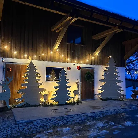 Vinzenz, Bildstein- Mit Privatem Ski- Und Fahrradraum Lejlighed