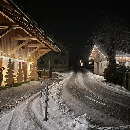 Vinzenz, Bildstein- Mit Privatem Ski- Und Fahrradraum *