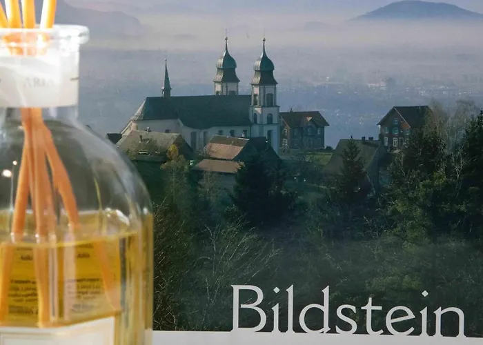 Apartment Vinzenz, Bildstein- Mit Privatem Ski- Und Fahrradraum *