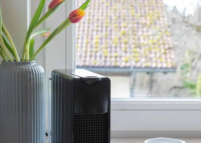 Vinzenz, Bildstein- Mit Privatem Ski- Und Fahrradraum *