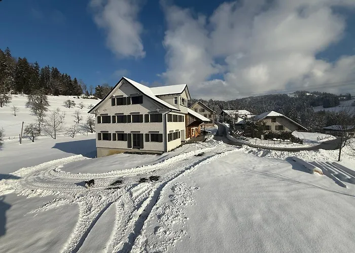 Vinzenz, Bildstein- Mit Privatem Ski- Und Fahrradraum Appartement